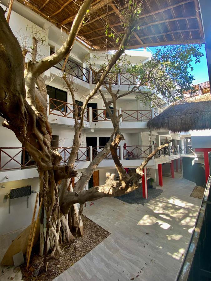 Why Not Rooftop Party Hostel Playa del Carmen Extérieur photo