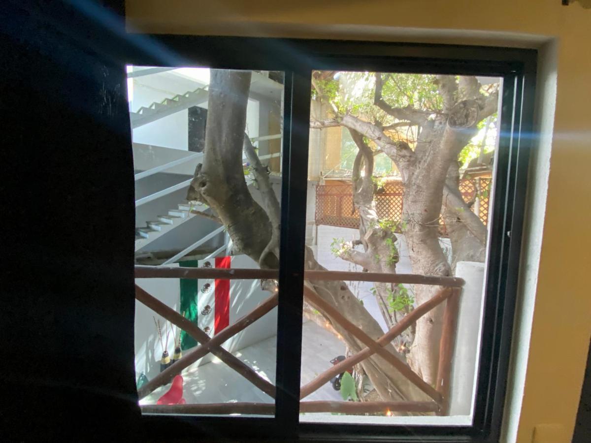 Why Not Rooftop Party Hostel Playa del Carmen Extérieur photo
